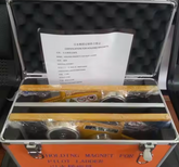 232093Holding Magnets for Pilot Ladders